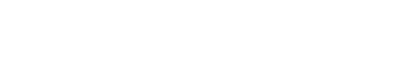 Experience